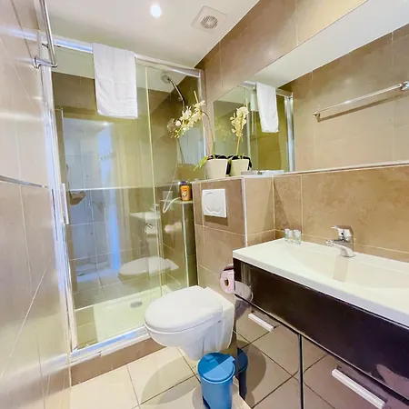 Le Carre D'or 2 Pers Wifi Ac ניס